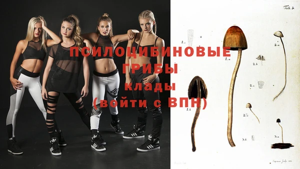 ПСИЛОЦИБИНОВЫЕ ГРИБЫ Дедовск
