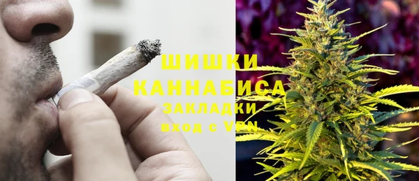 ПСИЛОЦИБИНОВЫЕ ГРИБЫ Михайловск