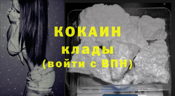 ПСИЛОЦИБИНОВЫЕ ГРИБЫ Михайловск