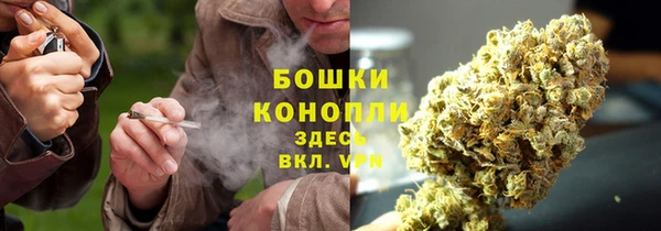 ПСИЛОЦИБИНОВЫЕ ГРИБЫ Михайловск