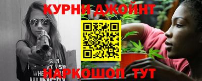 молекула духа Кингисепп