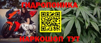 молекула духа Кингисепп