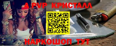 молекула духа Кингисепп