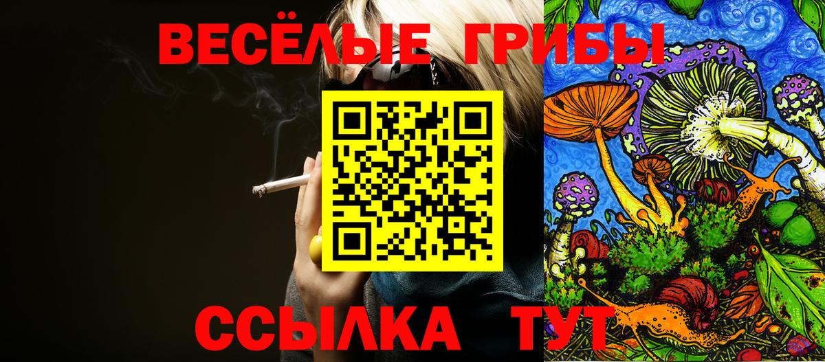 Псилоцибиновые грибы Psilocybe  Кинешма 