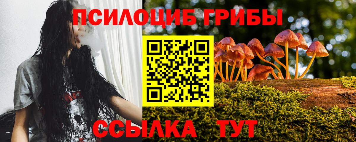 Псилоцибиновые грибы Magic Shrooms Кинешма