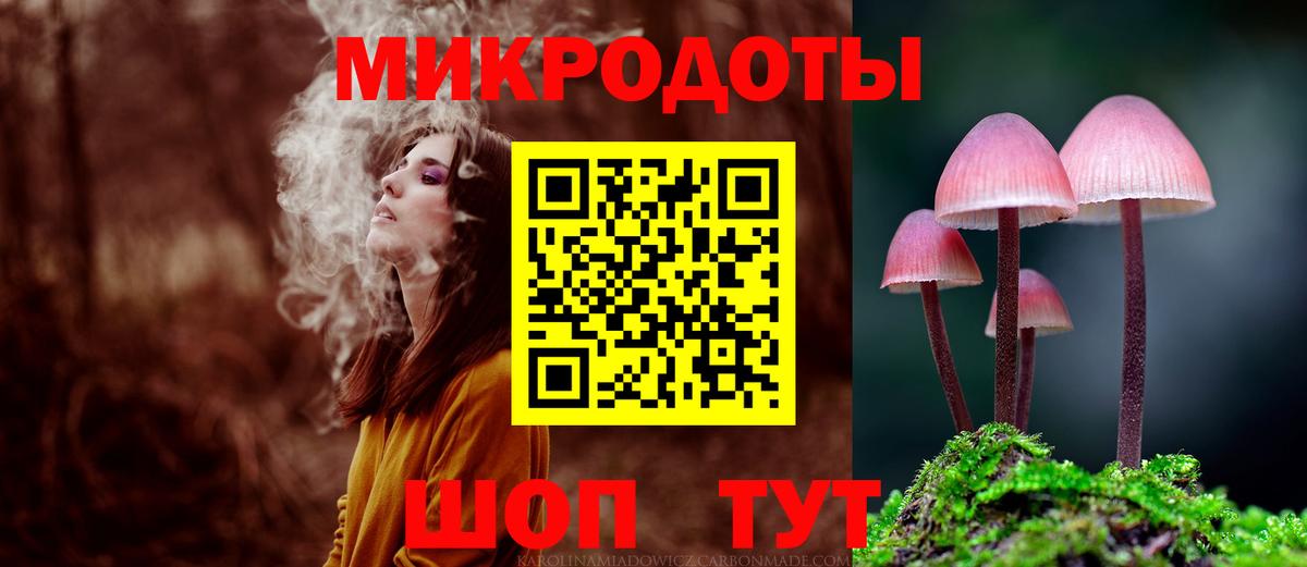 Галлюциногенные грибы Psilocybine cubensis Кинешма