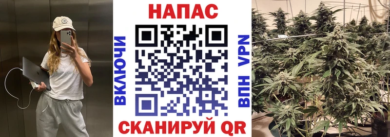 Бошки марихуана Amnesia Кинешма